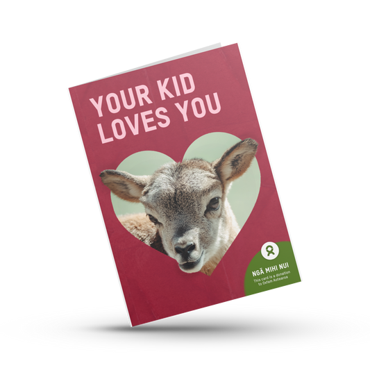 Your Kid Loves You